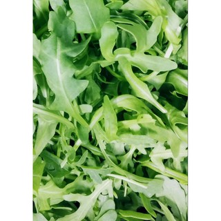 Fresh Salad Baby Wild Rocket Australia 100g - $60 and above for free delivery.