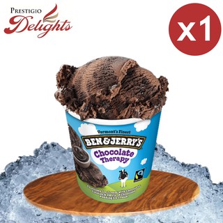 Ben & Jerry's Ice Cream Pint Chocolate Therapy 453ml - By Prestigio Delights